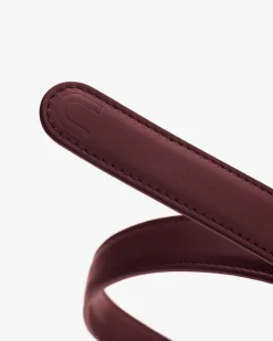 Celestia Belt