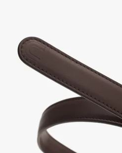 Celestia Belt